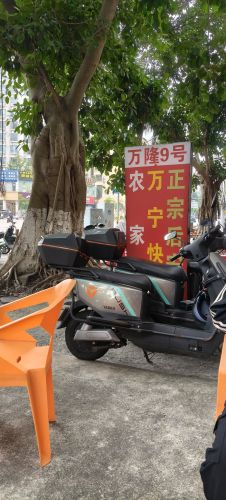 万隆9号正宗后安粉