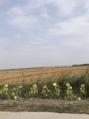 盘锦市绕阳湾景区旅行图片 1