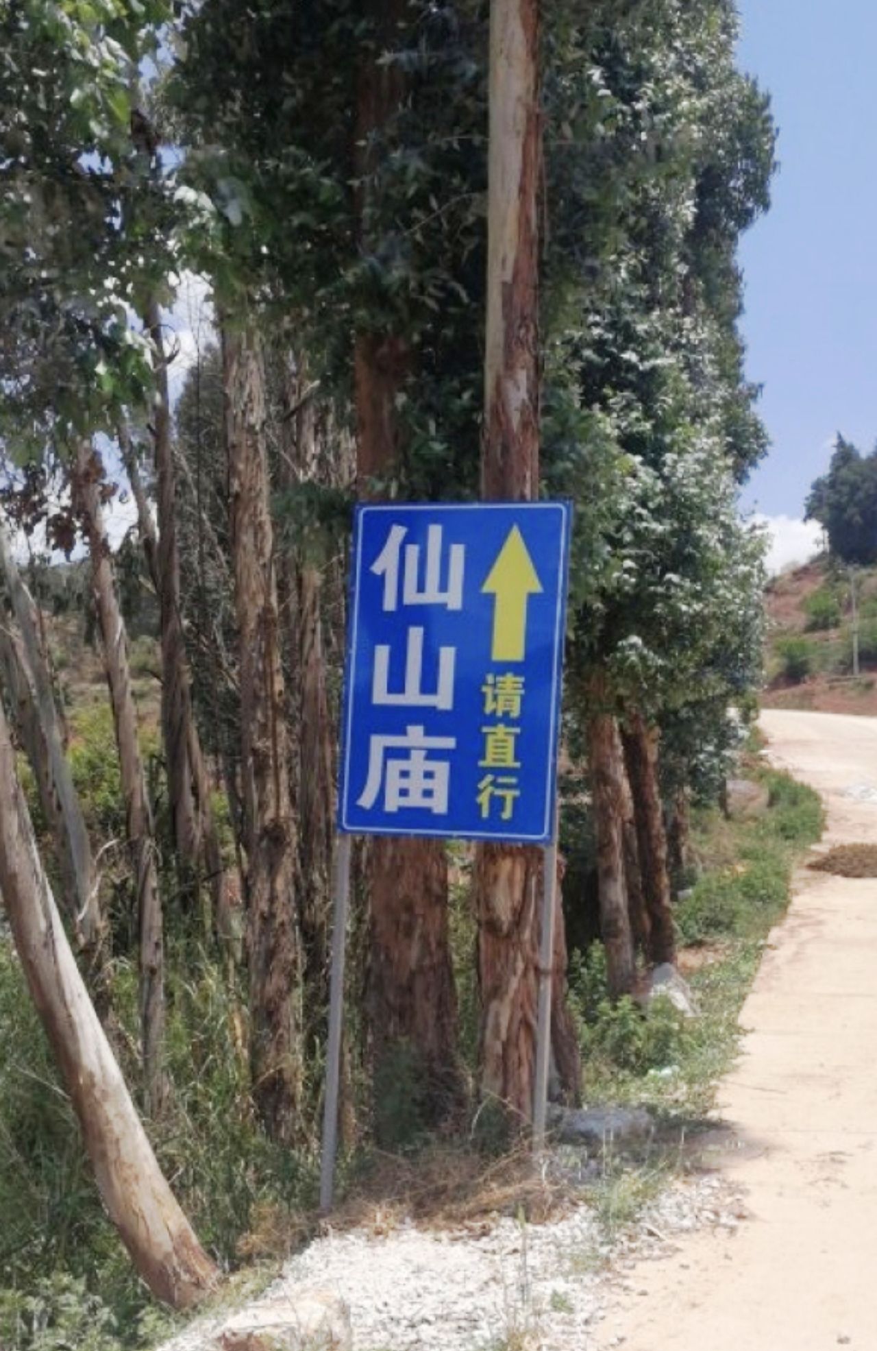 江川仙山庙实景照片