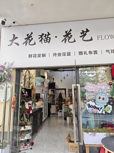 大花猫花艺