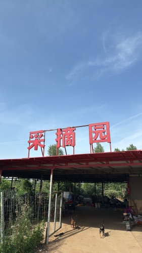 采摘园