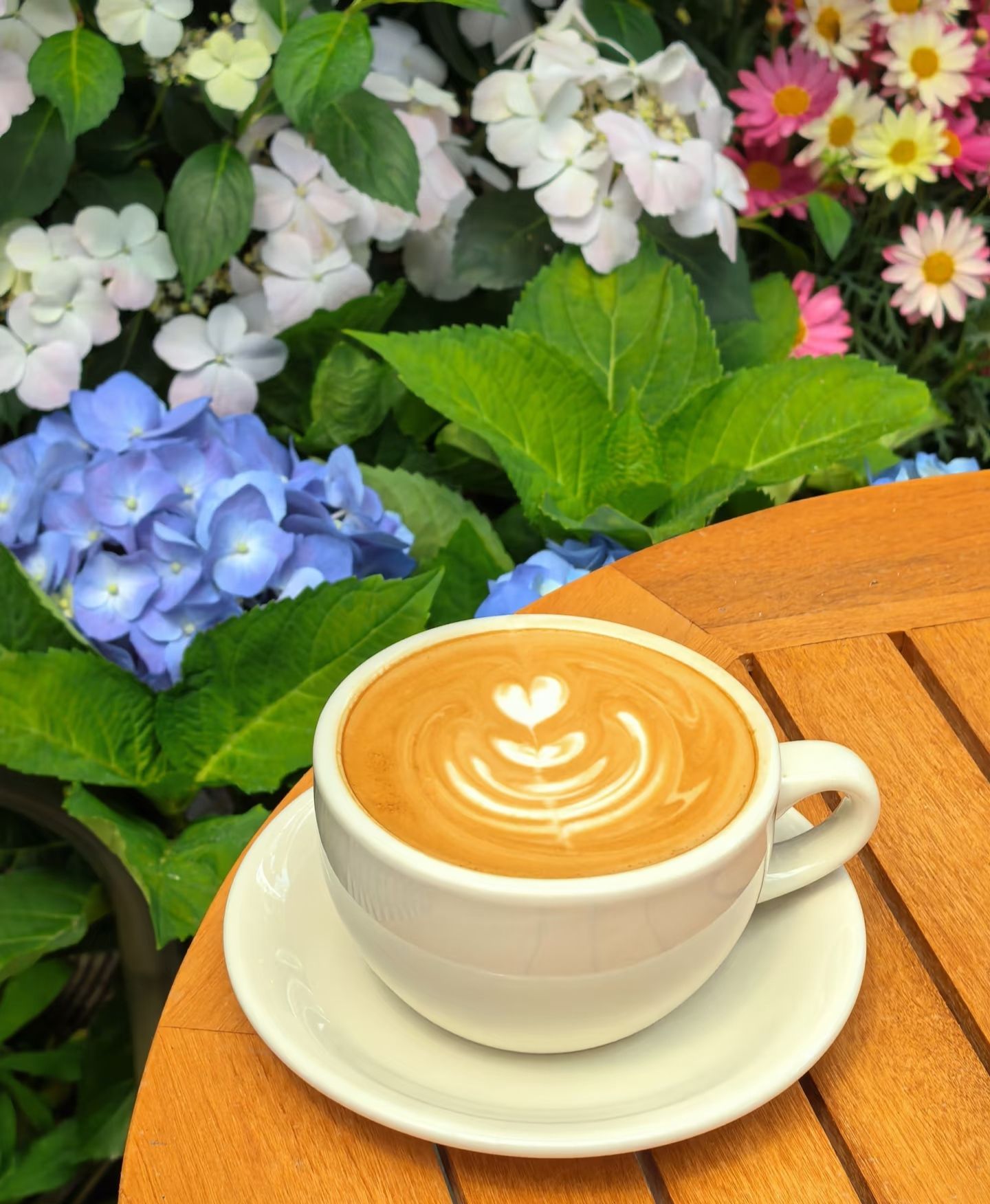 PST CAFE黑犬咖啡(圆融时代店) · Suzhou