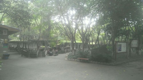西苑小区旅行图片 1