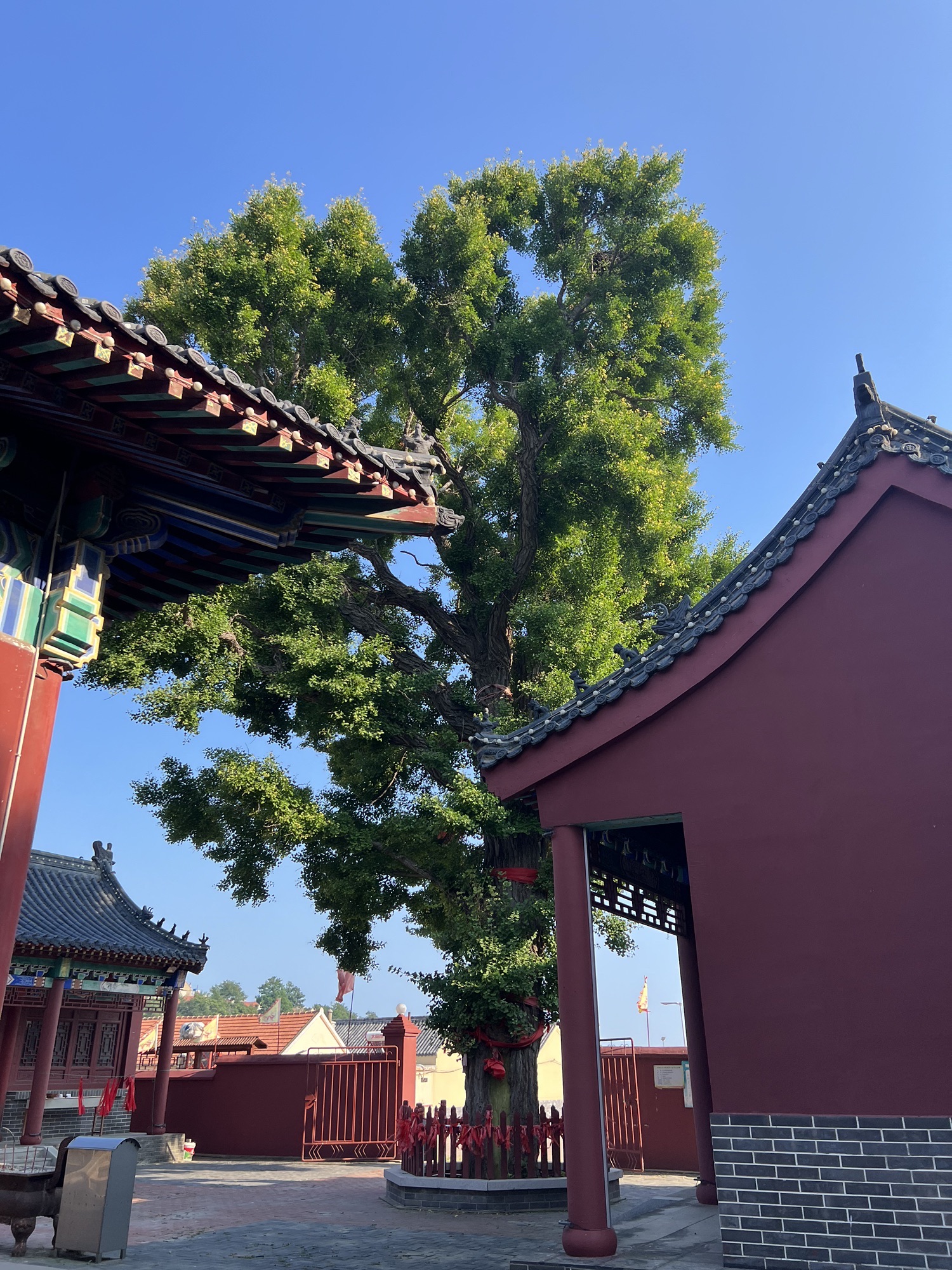 海会寺实景照片
