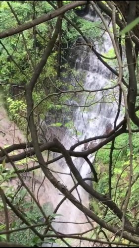 亚计山国家森林公园旅行图片 2