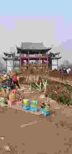 樱花阁旅行图片 1