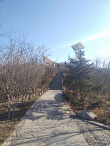 求智公园旅行图片 2
