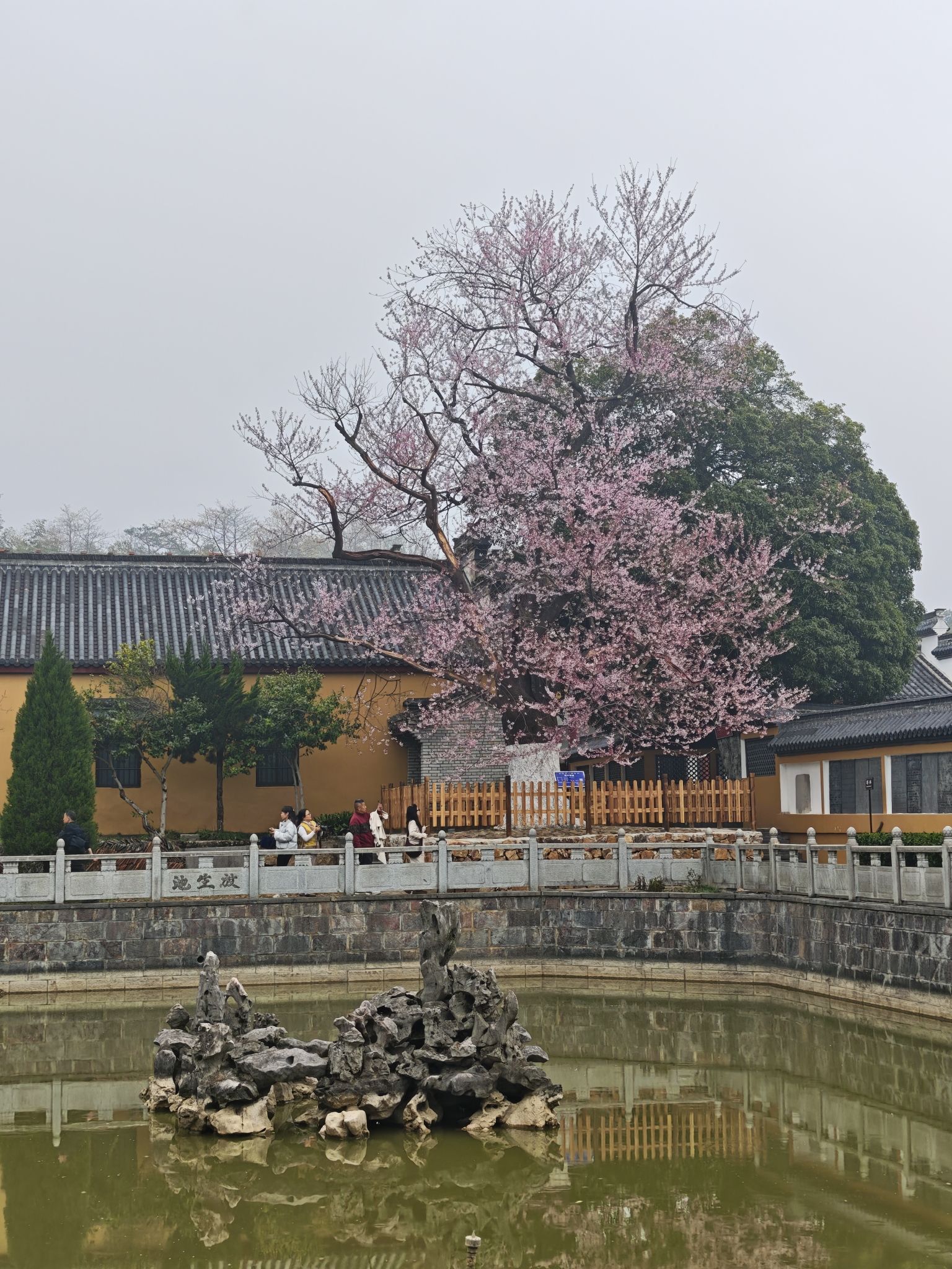 京山禅寺实景照片