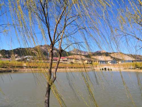 华夏庄园(酒庄)旅行图片 2
