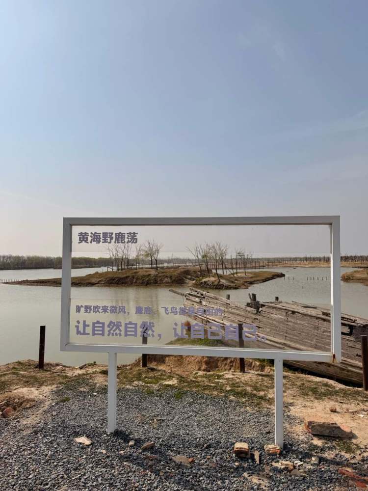黄海野鹿荡景点图片