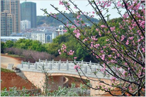 白马山公园旅行图片 2
