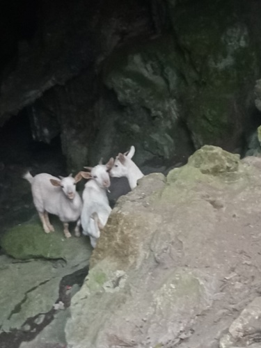 孔明岩旅行图片 2