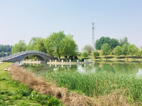 湿地公园旅行图片 3