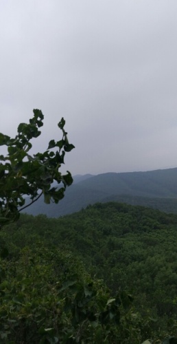 神鹿峰旅行图片 3