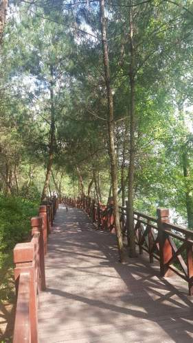 北斗湖公园旅行图片 2