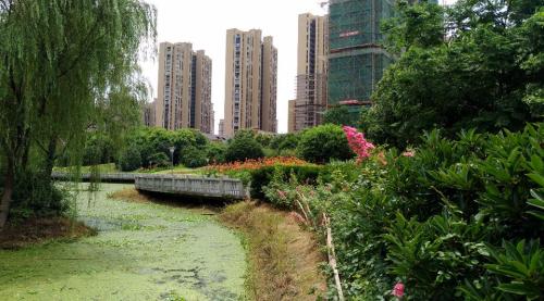 华山公园旅行图片 2