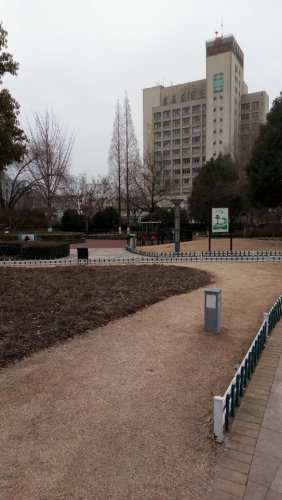 人民公园旅行图片 2
