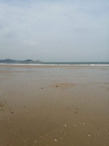 小岞林场沙滩旅行图片 3