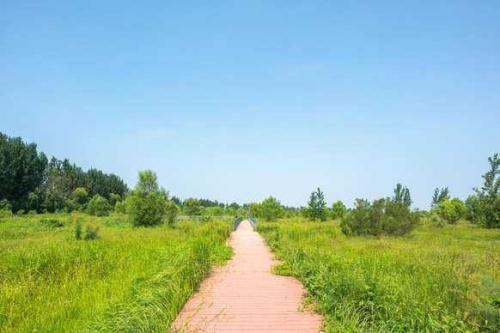 郑州黄河