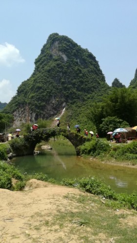 黄花公园旅行图片 3