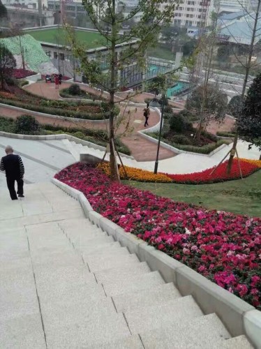 民安公园旅行图片 3