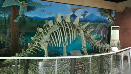 潜山皖光苑旅行图片 2