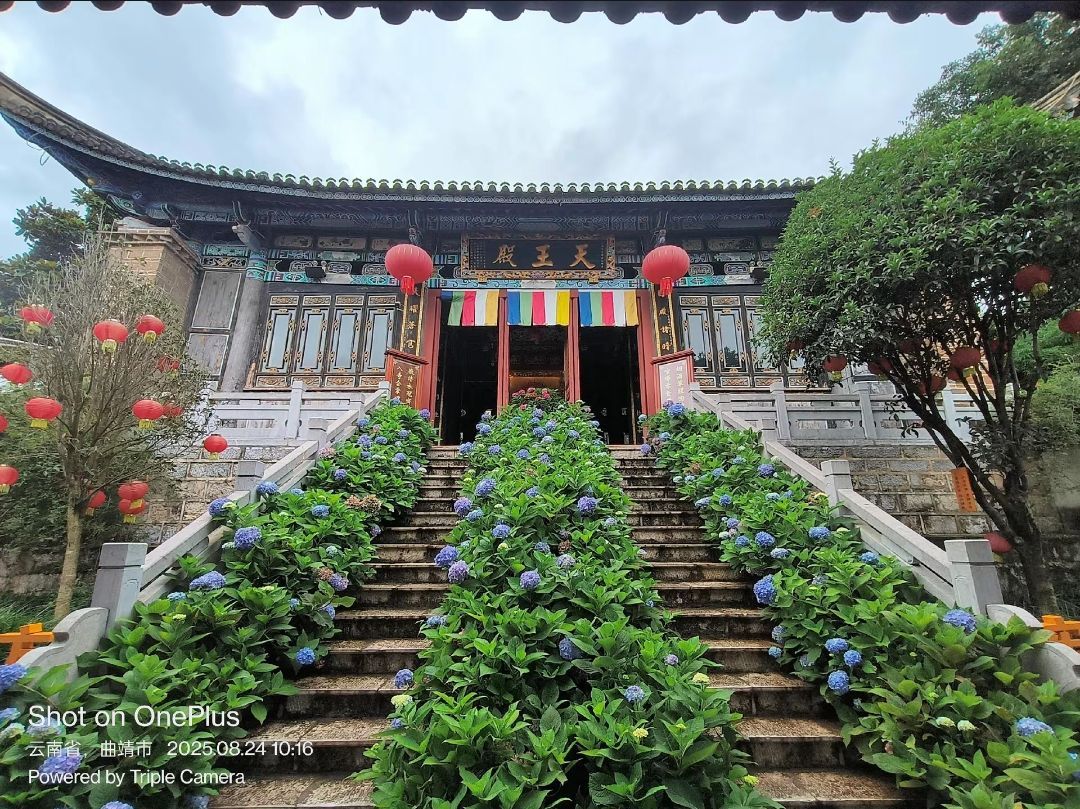 大佛寺实景照片