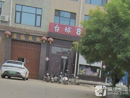 台球8