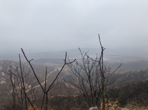 小园庙森林风景区旅行图片 1