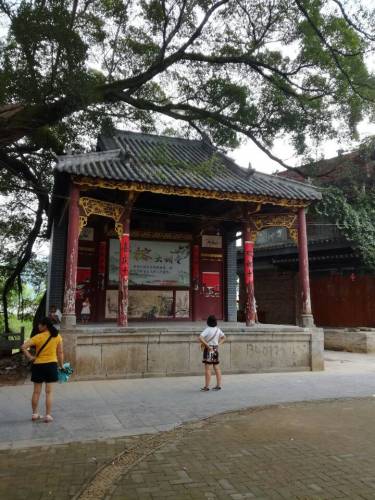 榕津千年古榕群旅行图片 3