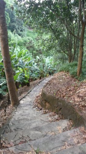 龙山风景旅游区旅行图片 2