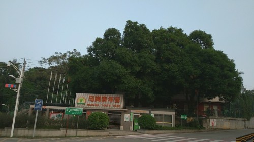 容桂马岗森林公园旅行图片 1