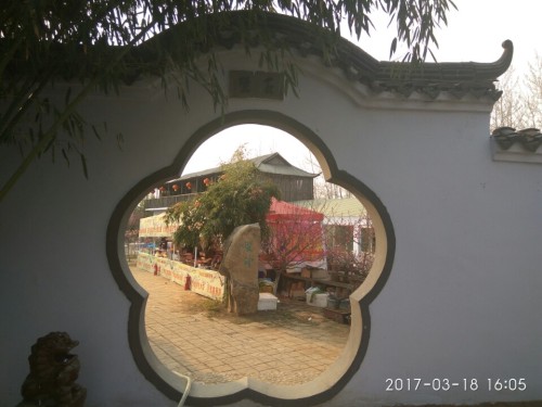 雪山梅园旅行图片 3