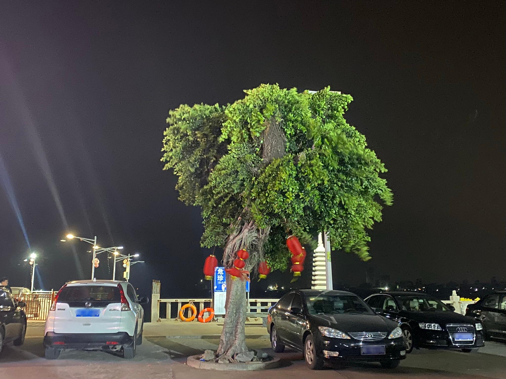 镇江宫实景照片
