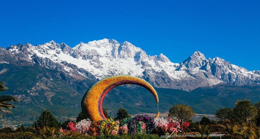 丽江植物园景点图片