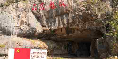 龙景玫瑰园旅行图片 2