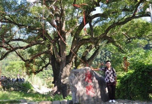 云和县江南畲族文化村旅行图片 1