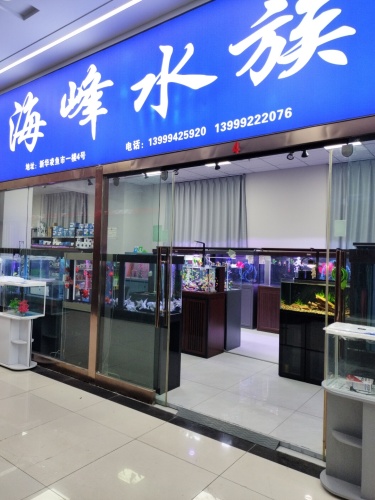 乌鲁木齐海峰水族用品经营部(新华凌店)