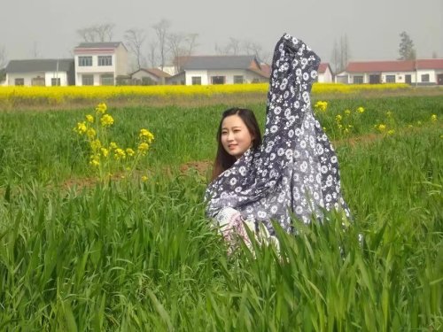 金色花海旅行图片 2