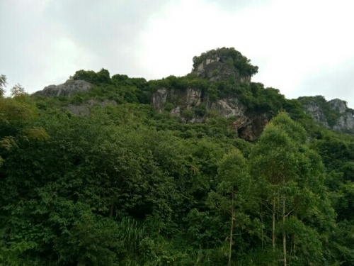 来宾第一岩旅行图片 1