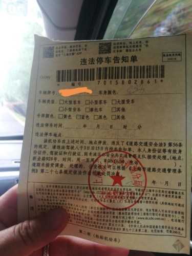 上海西郊淀山湖湿地旅行图片 1