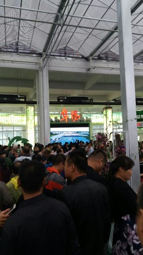 颍州区阜阳花博园旅行图片 3
