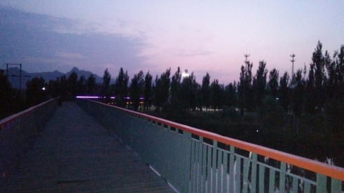 清凉湾湿地公园旅行图片 1