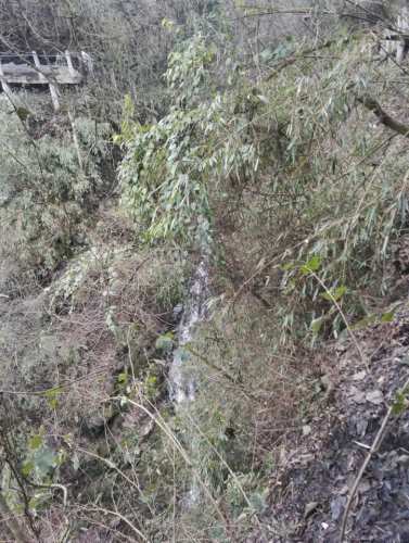 卧龙谷瀑布旅行图片 2