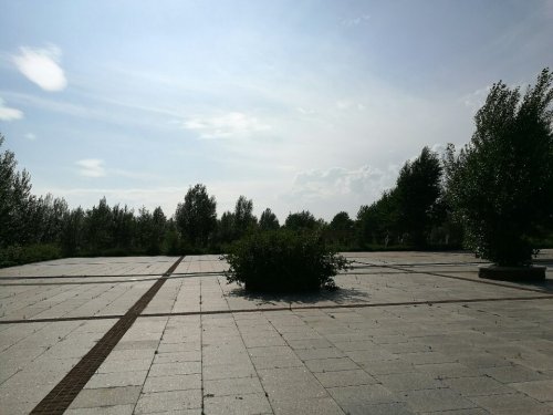 龙山公园旅行图片 3
