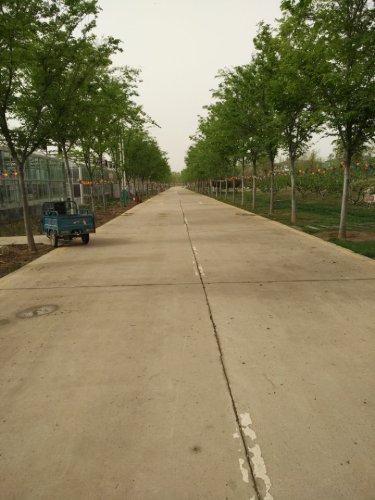 秀园旅行图片 1