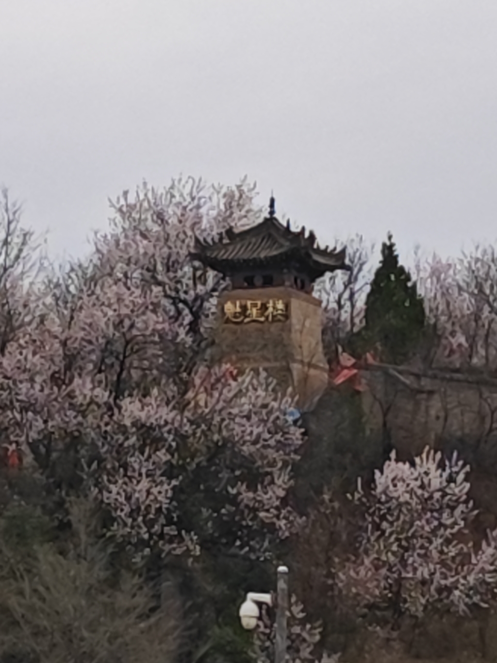后稷殿实景照片