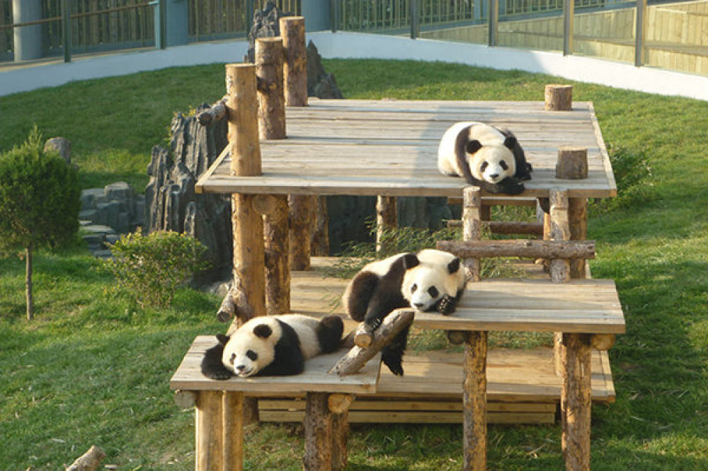 大连森林动物园景点图片