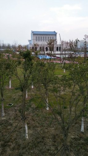 城南公园旅行图片 2