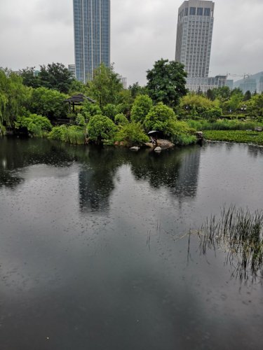 凤鸣公园旅行图片 3